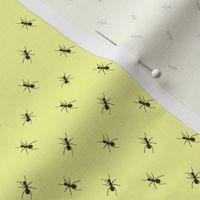 Preppy Ant Yellow