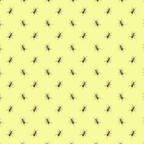 Preppy Ant Yellow