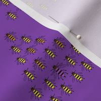Saving the Queen Bee++ Purple