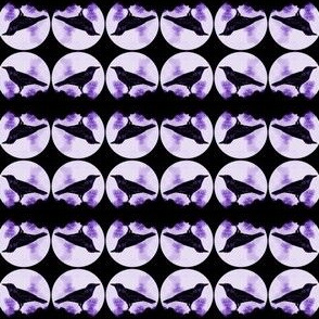 Crows (with purple)