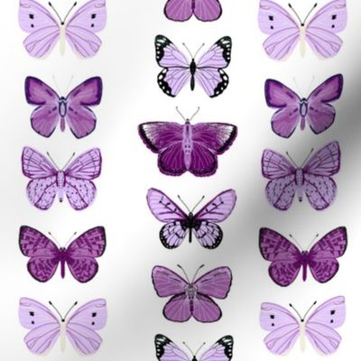 butterflies // purple spring pastel girly print 