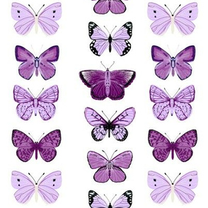 butterflies // purple spring pastel girly print 