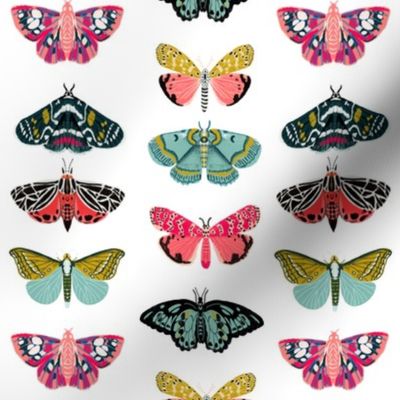 moths and butterflies cute girly pastel insect butterfly spring garden