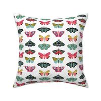 moths and butterflies cute girly pastel insect butterfly spring garden