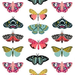 moths and butterflies cute girly pastel insect butterfly spring garden