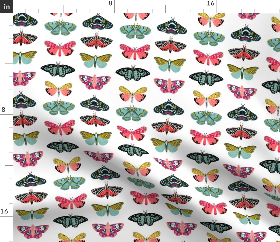 moths and butterflies cute girly pastel insect butterfly spring garden