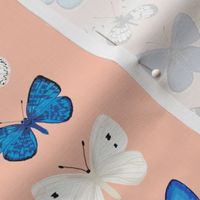 butterflies // pink and blue girls butterfly spring floral pastel