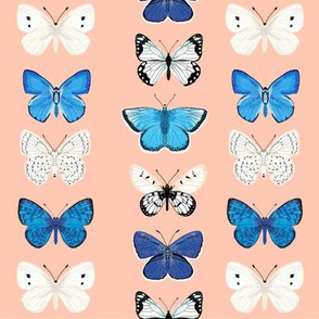 butterflies // pink and blue girls butterfly spring floral pastel