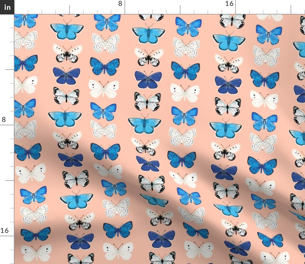 butterflies // pink and blue girls butterfly spring floral pastel