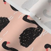 swans // black swan swans girls sweet birds