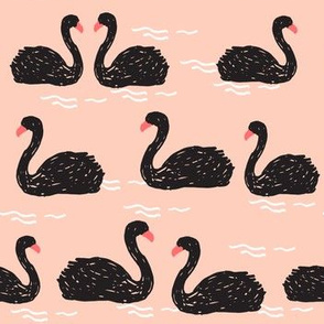swans // black swan swans girls sweet birds