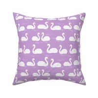 swans // swan swans purple lilac lavender girls sweet birds elegant beautiful pond lilies
