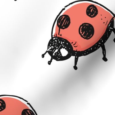 Lady bug