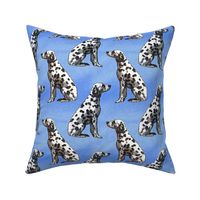 Sitting Dalmatians - blue