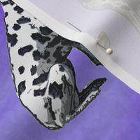 Sitting Dalmatians - purple