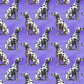 Sitting Dalmatians - purple