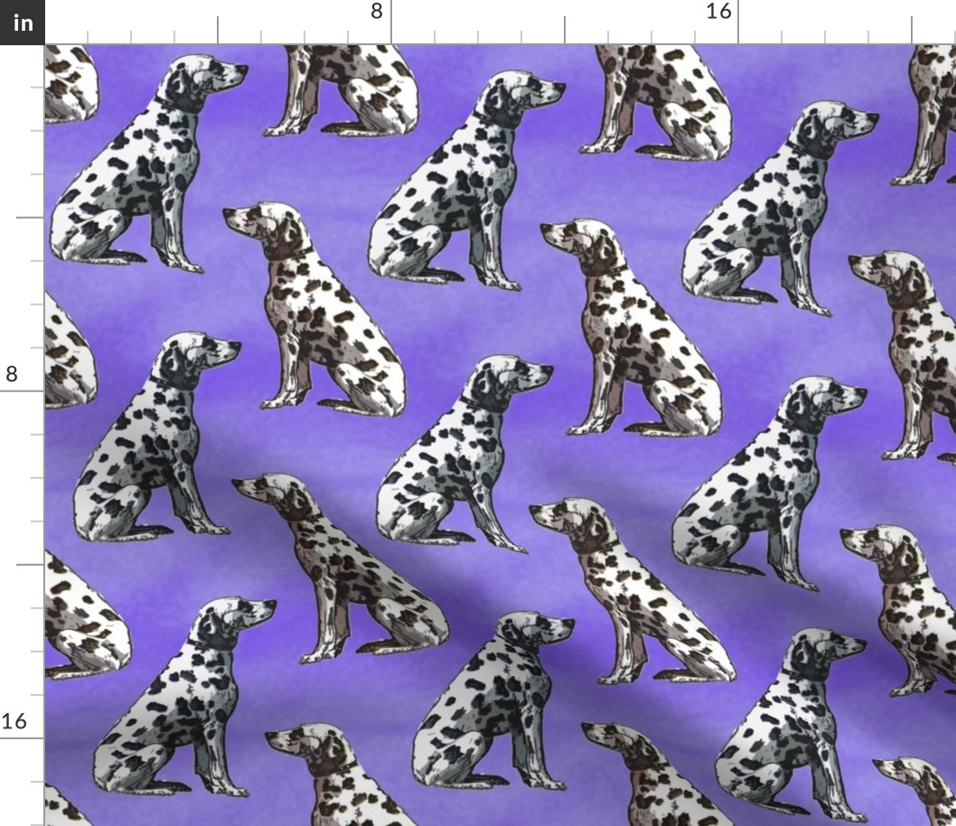 Sitting Dalmatians - purple