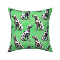 Sitting Dalmatians - green