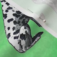 Sitting Dalmatians - green