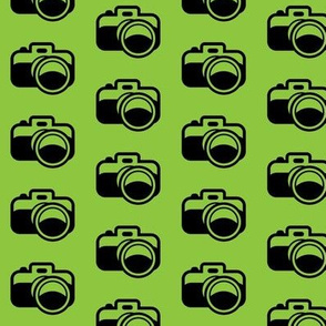 Black Cameras on Green
