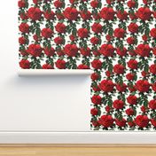 Redoute' Roses ~ Riot of Red ~ Medium