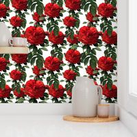 Redoute' Roses ~ Riot of Red ~ Medium