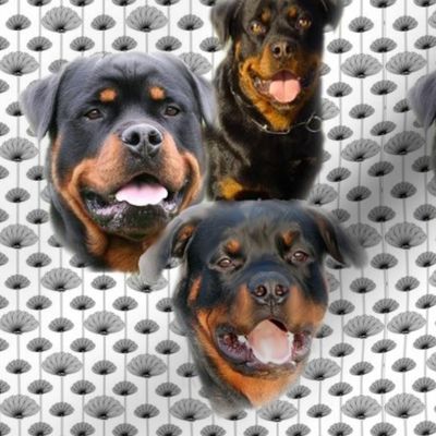 rottweilers_and_thistles