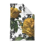 Redoute' Roses ~ Yellow ~ Large