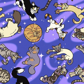 Floaty Cats in Space