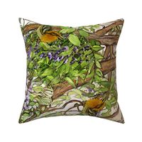 Wisteria Warbler Border Print