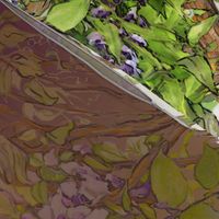 Wisteria Warbler Border Print