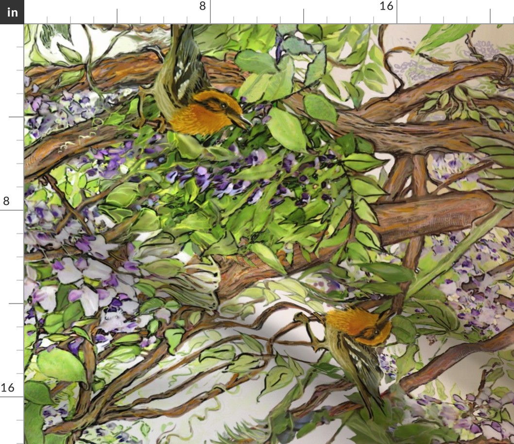 Wisteria Warbler Border Print