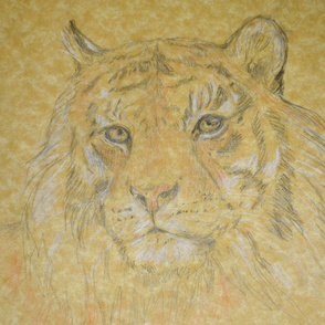 Tiger, Light (sized for Linen)