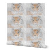 Tiger, Tinted (Sized for Linen)