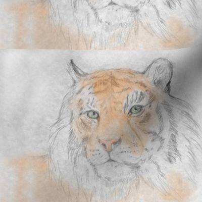 Tiger, Tinted (Sized for Linen)