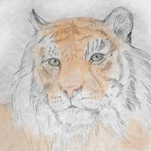 Tiger, Tinted (Sized for Linen)