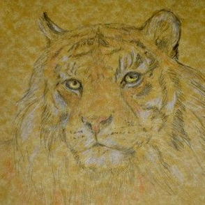 Tiger, Vivid (Sized for Linen)