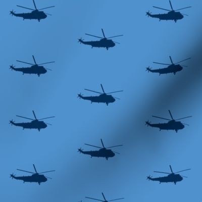 Helicopter: blue on light blue