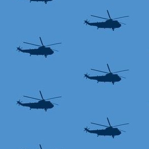 Helicopter: blue on light blue