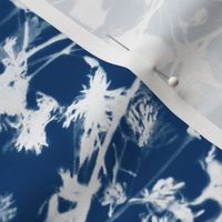 cyanotype poppy border for 42 inch wide fabric