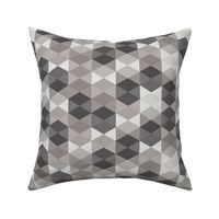 Hexagon in gray