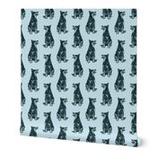 Sitting Australian cattle dog - blue