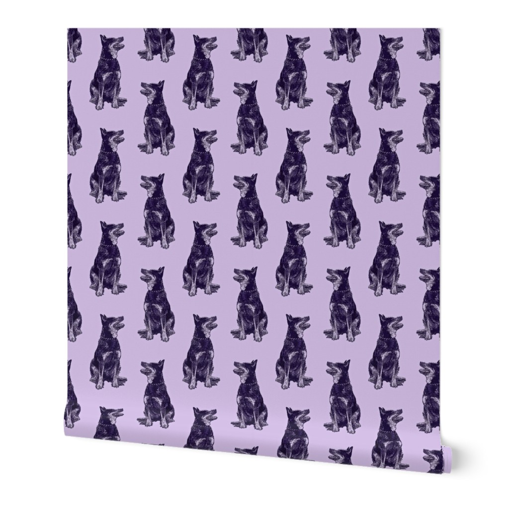 Sitting Australian cattle dog - purple