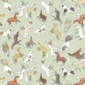 Wild Horses, Tinted on Sage Green