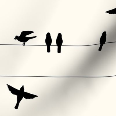 Crow line