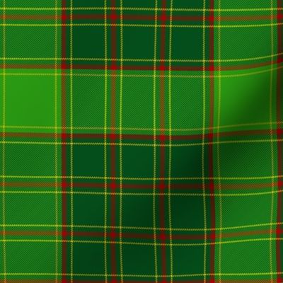 Terr family tartan, 6"