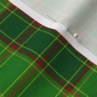 Terr family tartan, 6"