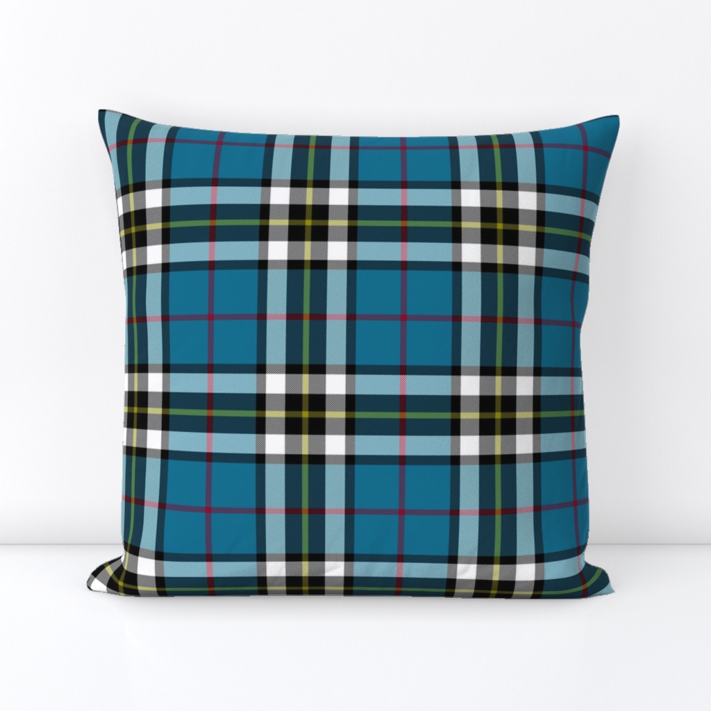 Thomson / Thompson / MacTavish tartan, 6"