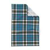 Thomson / Thompson / MacTavish tartan, 6"