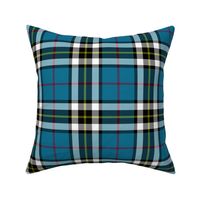 Thomson / Thompson / MacTavish tartan, 6"